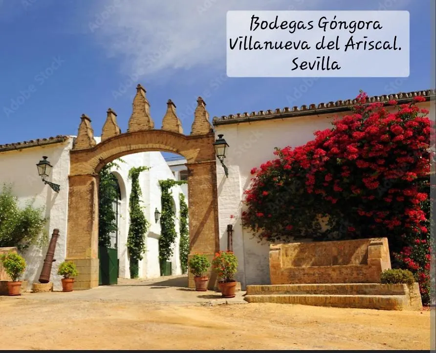 Homestay Casa Serena Villanueva del Ariscal Spain